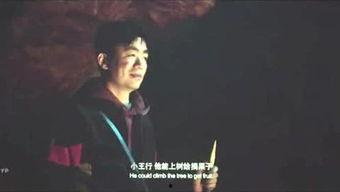 宁哥影视爆料大全最新版,揭秘娱乐圈最新动态与幕后故事  第1张